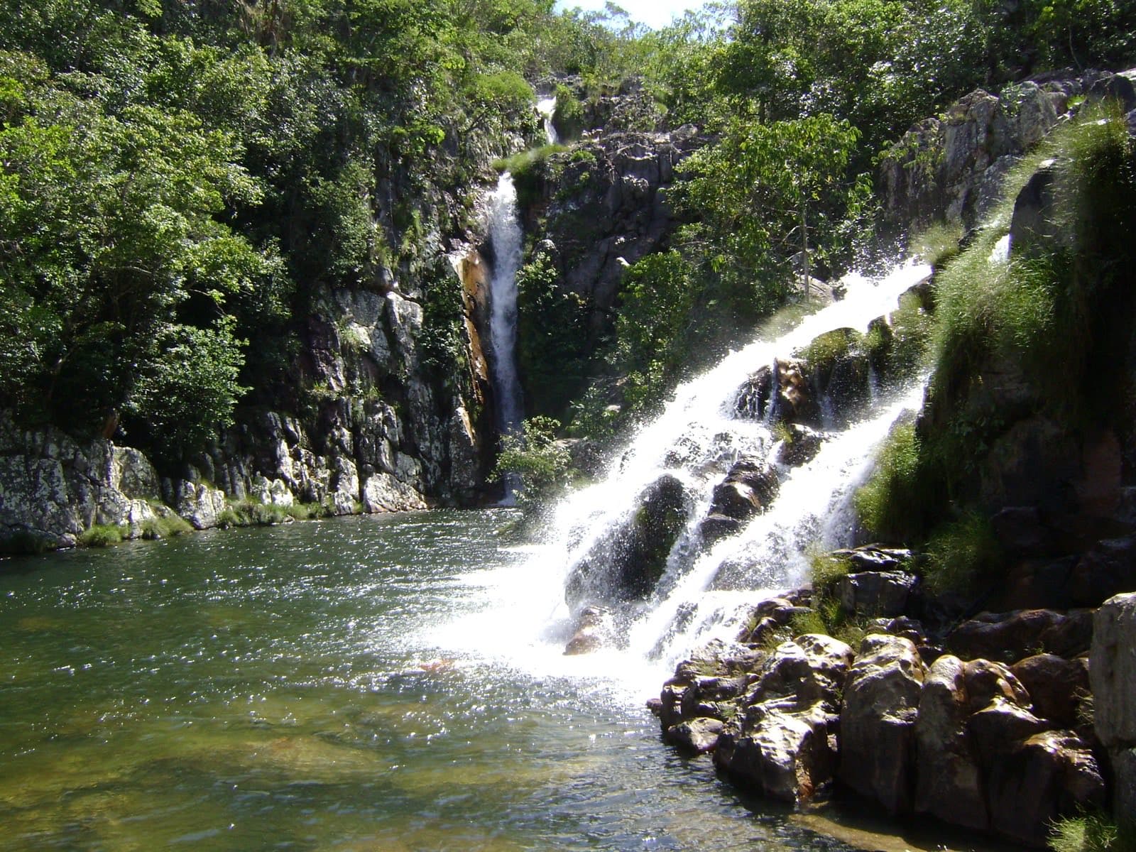 Capybara Waterfall