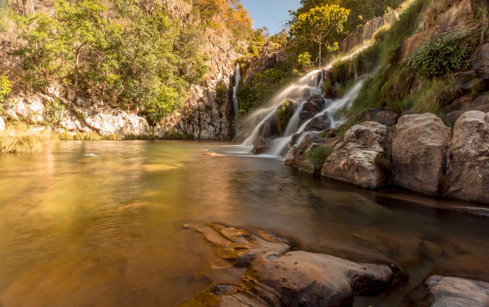 Capybara Waterfall