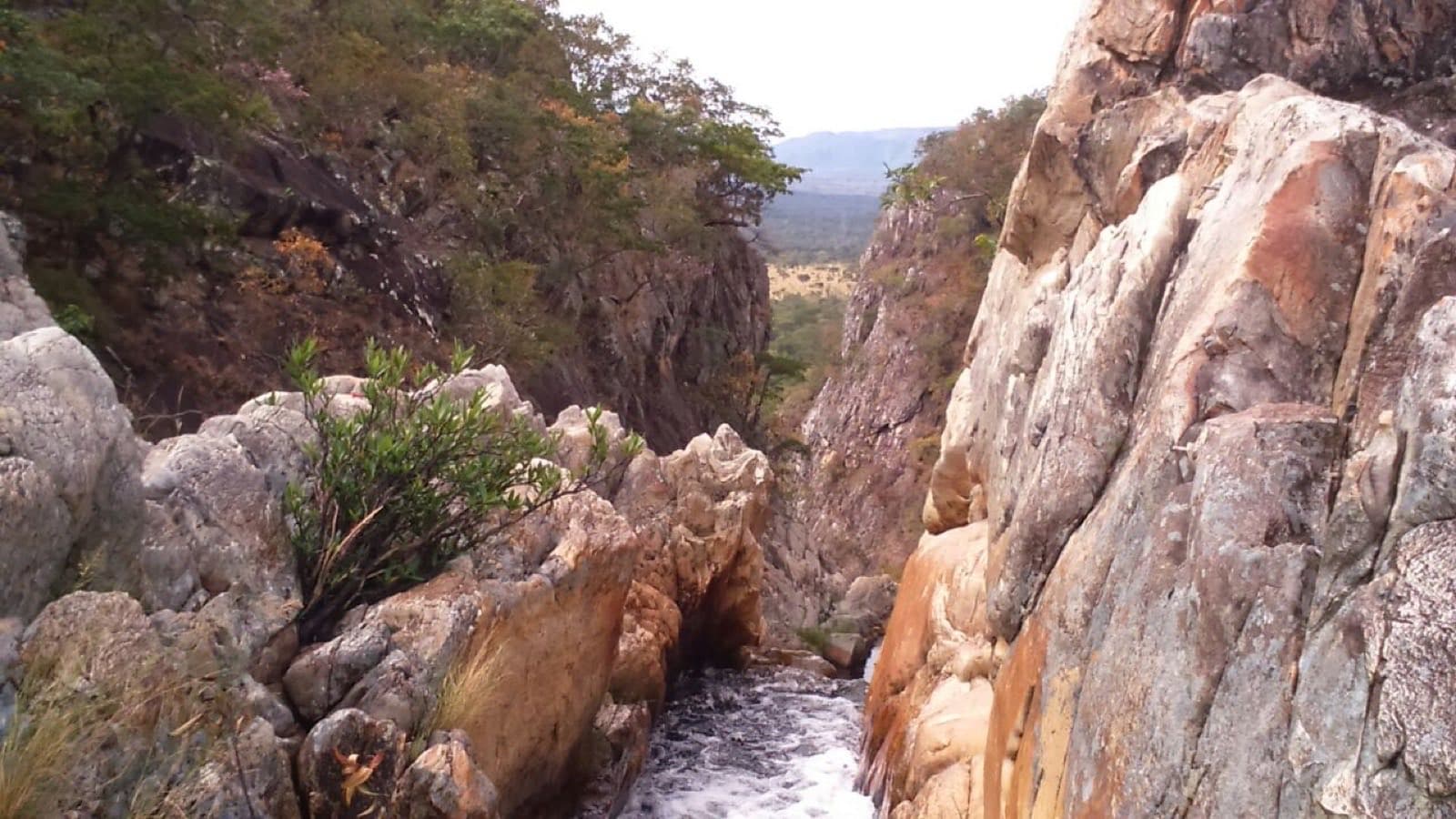 Complexo Veredas — Complejo