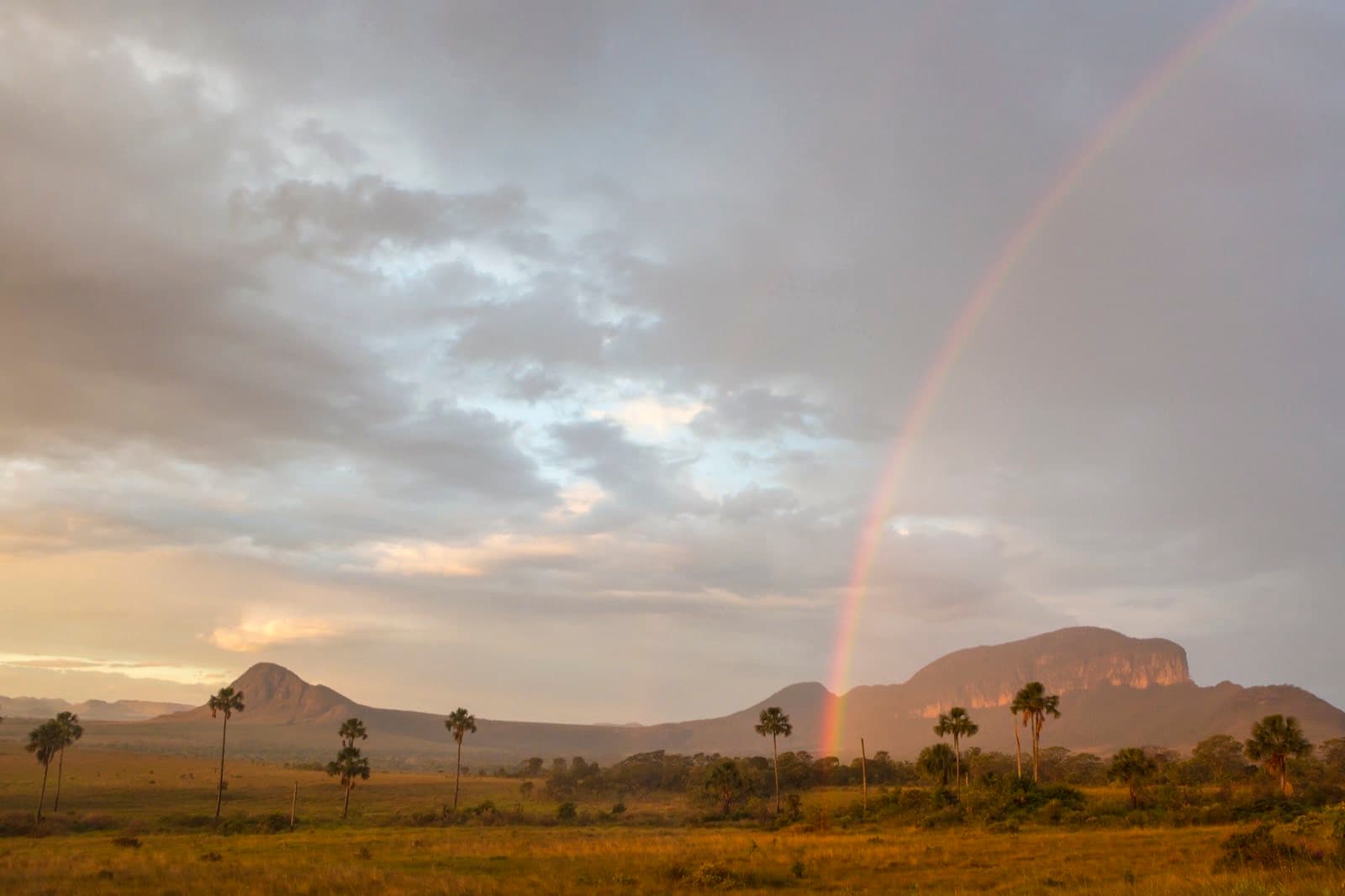 Paisagem do Jardim de Maytrea no Parque Nacional da Chapada dos Veadeiros, Goiás, Brasil