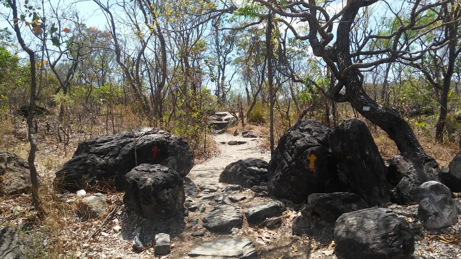 Trilha para cachoeiras do Parque Nacional da Chapada dos Veadeiros