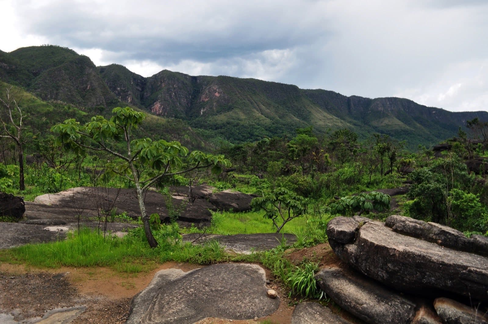 Vegetação e paisagem dentro do parque nacional
